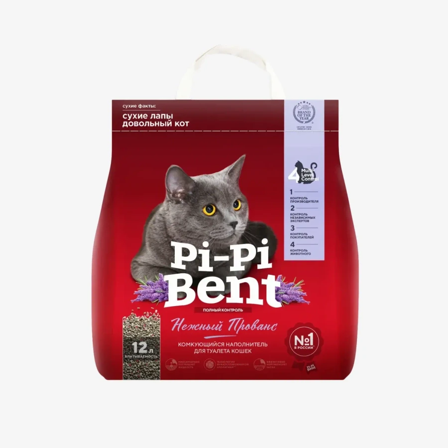 catalogue_background - 2026-01-21T162547.353.webp