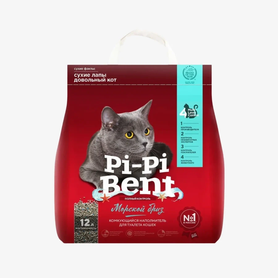 catalogue_background - 2026-01-21T163822.892.webp