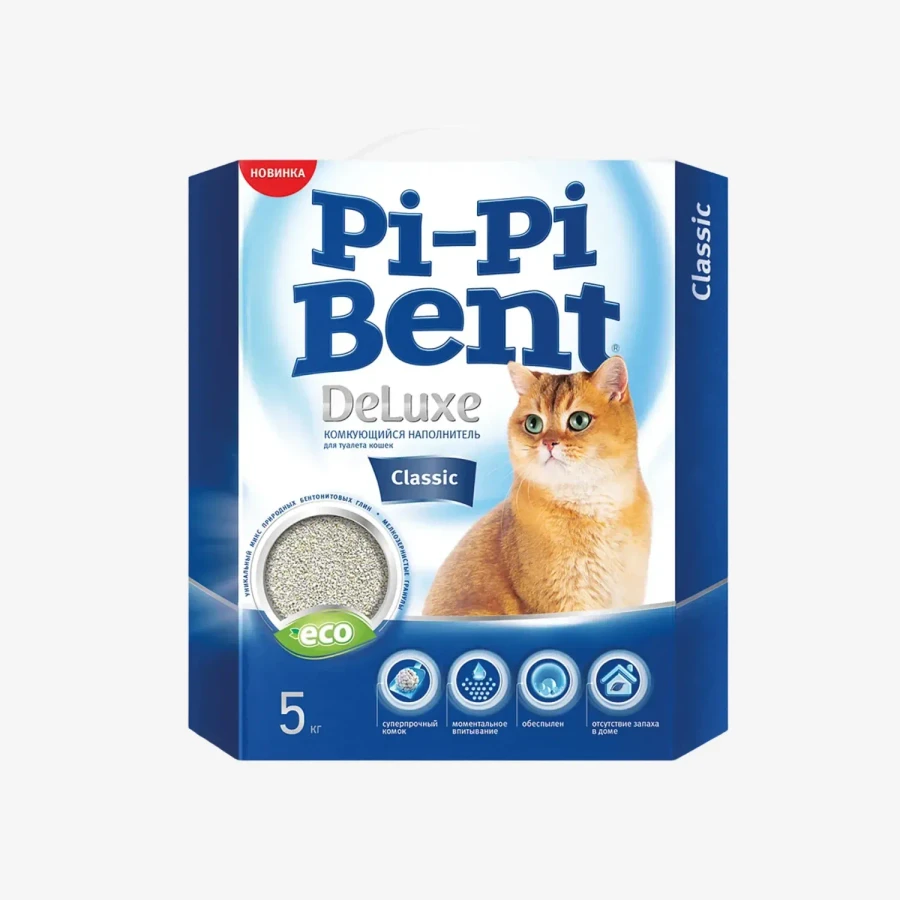 catalogue_background - 2026-01-22T193703.458.webp