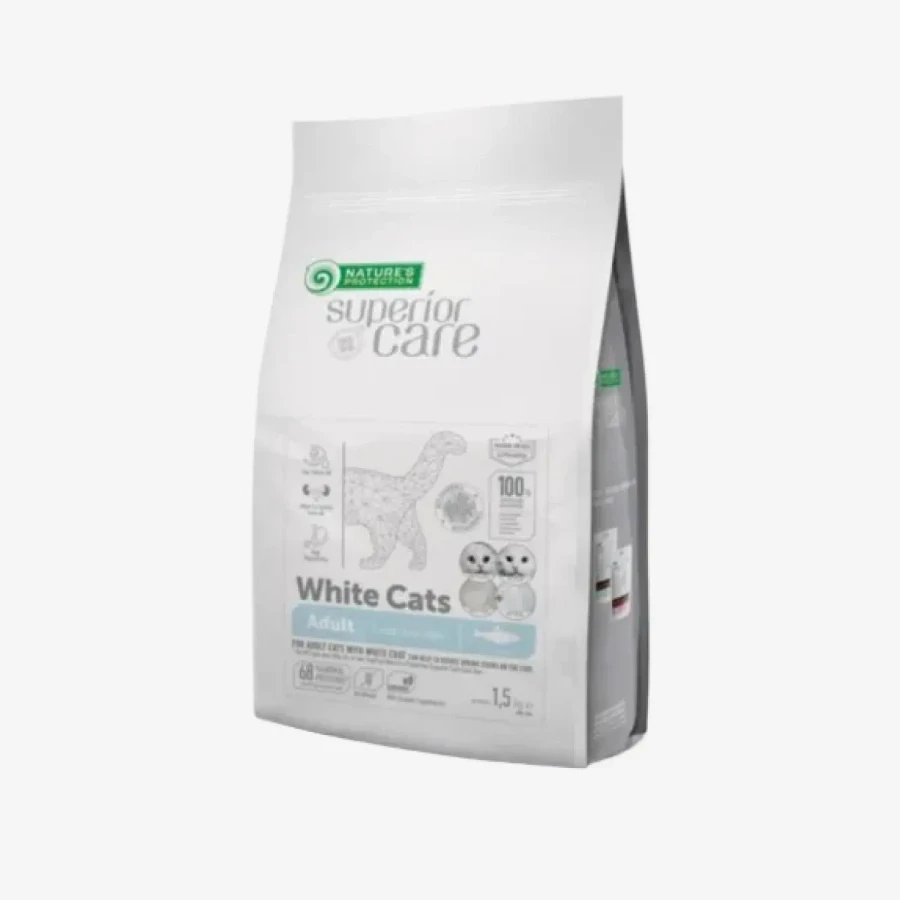 catalogue_background - 2026-01-22T205153.908.webp