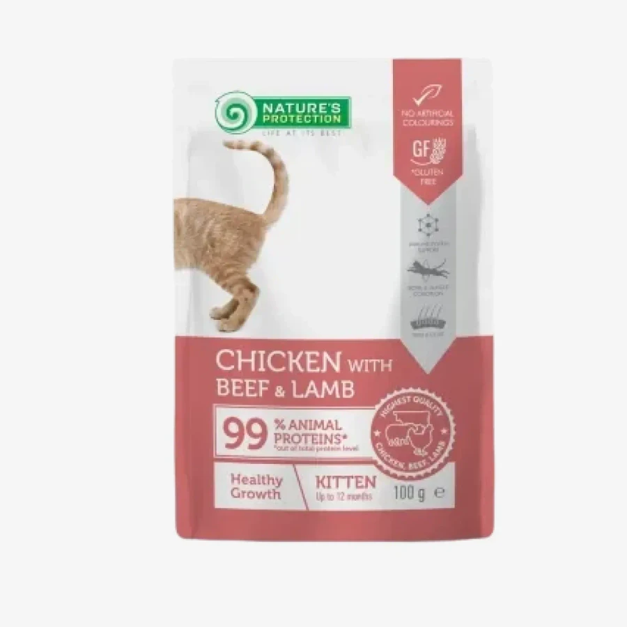 catalogue_background - 2026-01-22T213540.361.webp