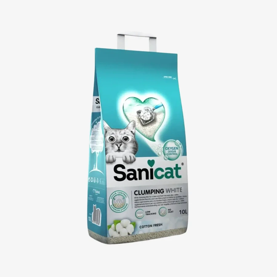 catalogue_background - 2026-01-23T125224.864.webp