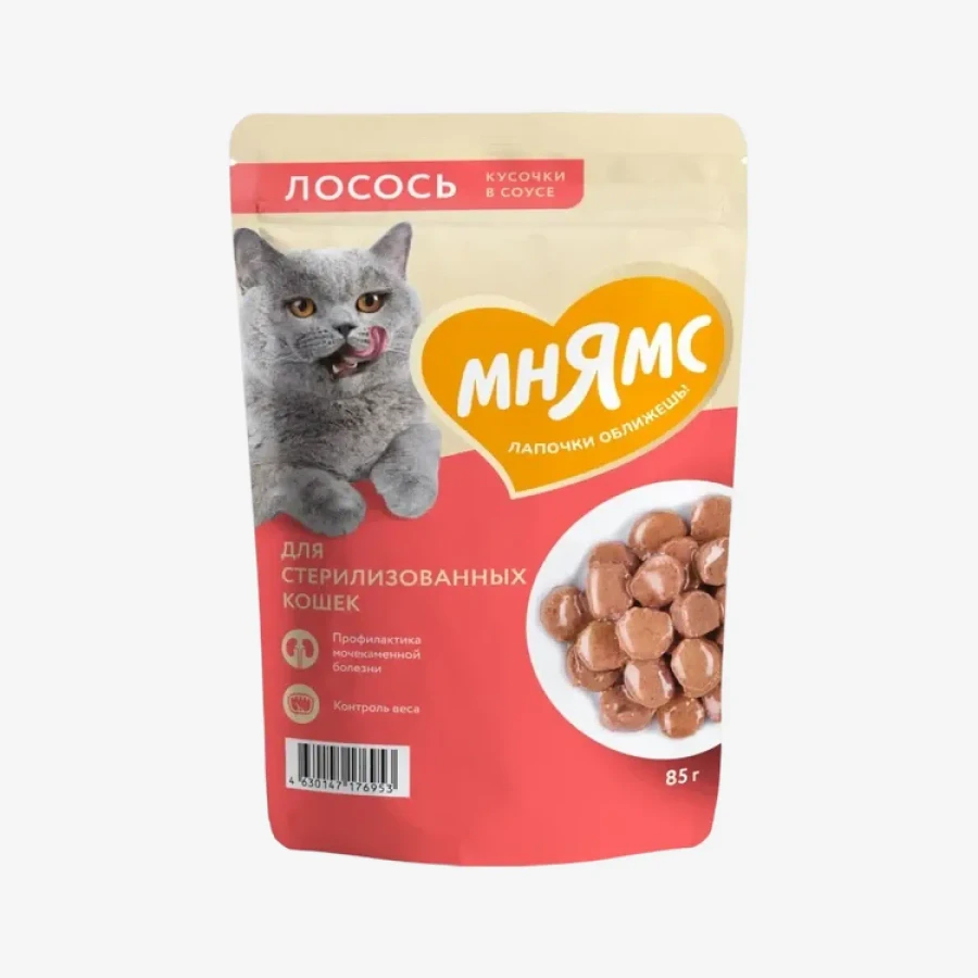 catalogue_background - 2026-01-24T132910.429.webp