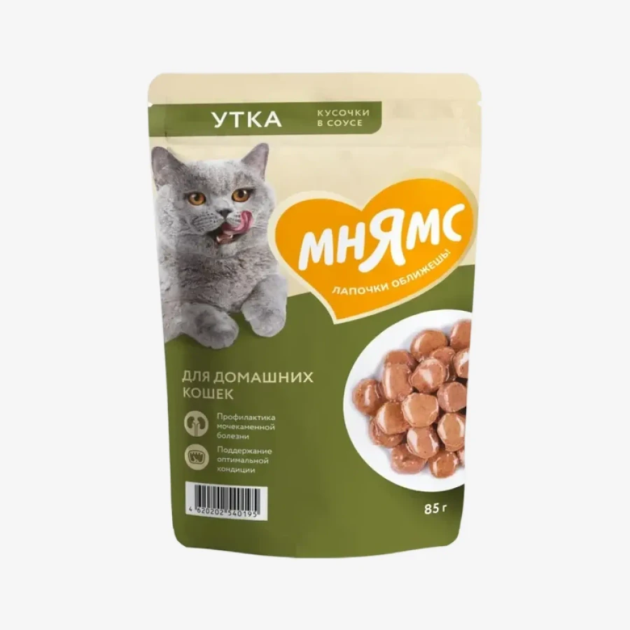 catalogue_background - 2026-01-26T123320.025.webp