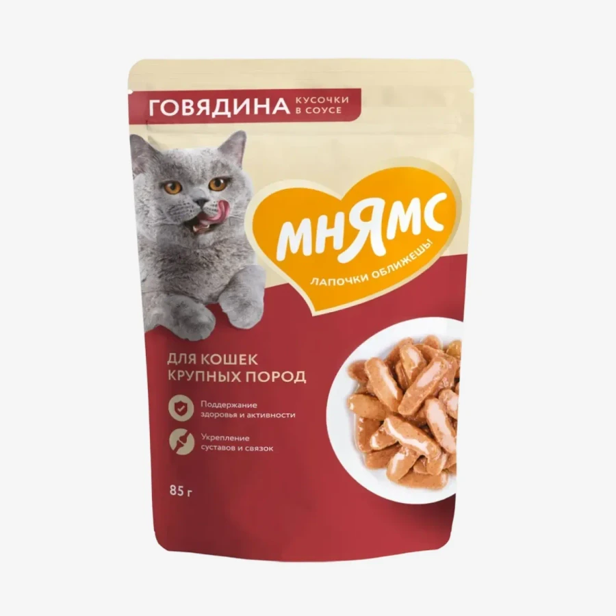 catalogue_background - 2026-01-27T160006.812.webp