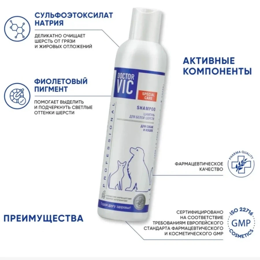 catalogue_background - 2026-01-27T201549.226.webp