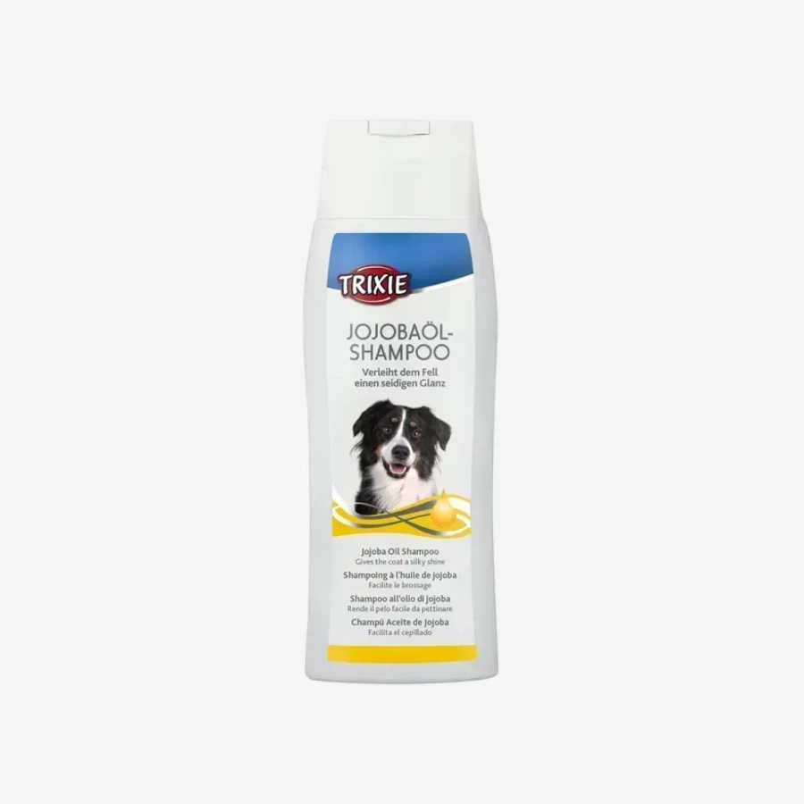 catalogue_background - 2026-01-28T134849.845.webp