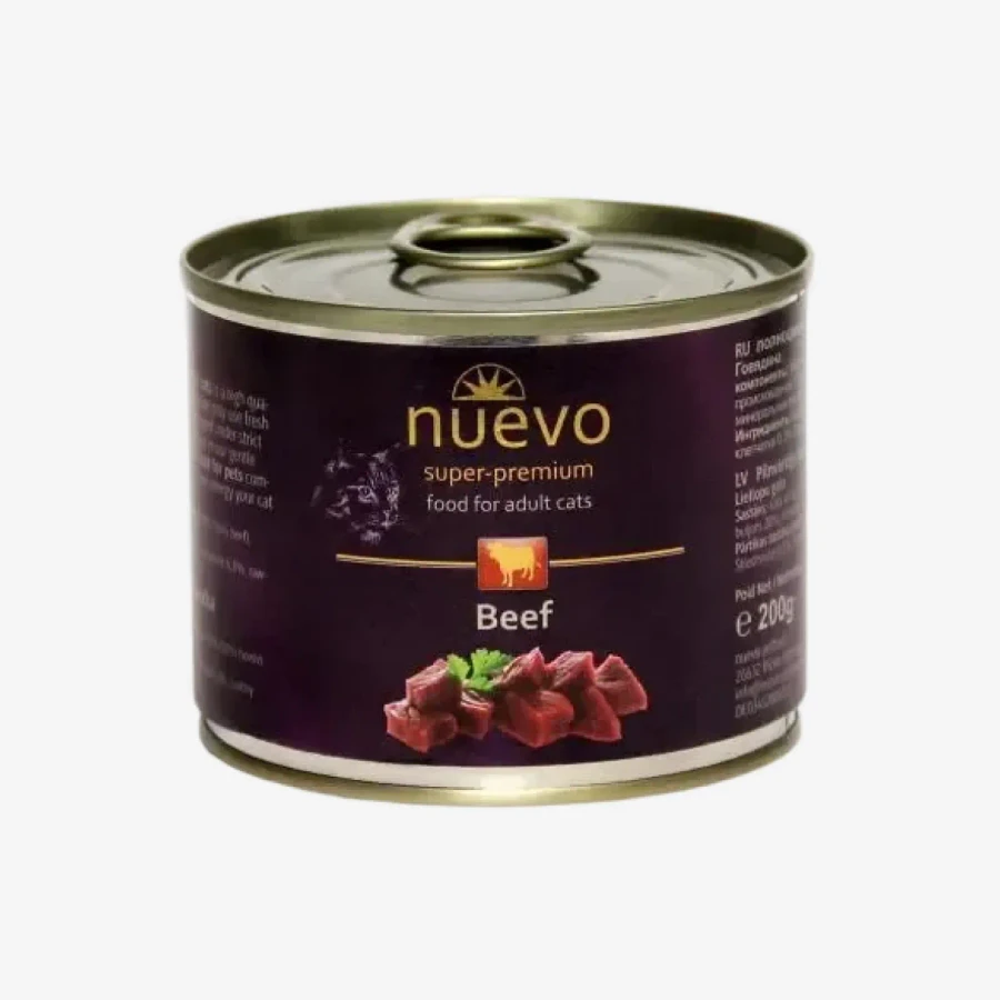 catalogue_background - 2026-01-28T202014.341.webp