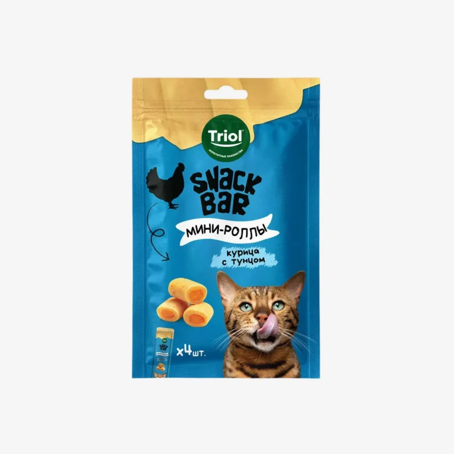 catalogue_background - 2026-01-29T114650.263.webp