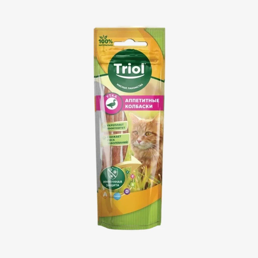 catalogue_background - 2026-01-29T124103.750.webp