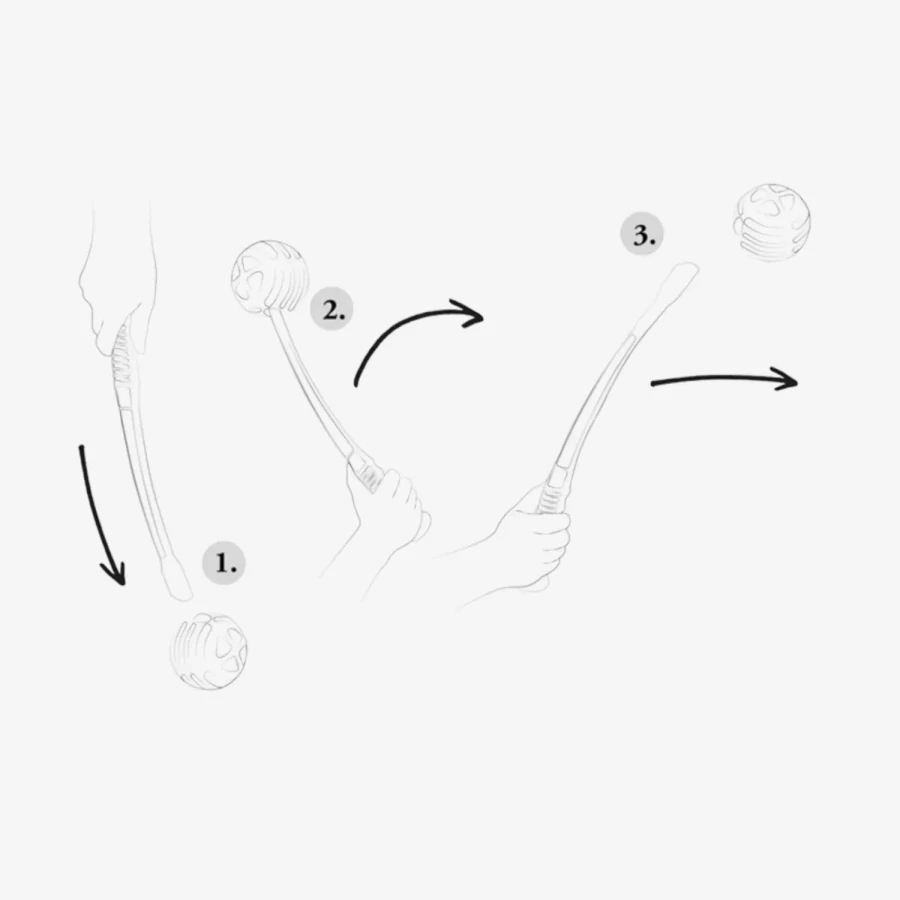 catalogue_background - 2026-02-04T160328.472.webp