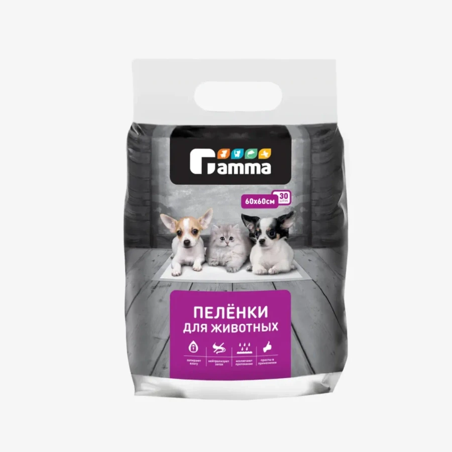 catalogue_background - 2026-02-04T200806.659.webp