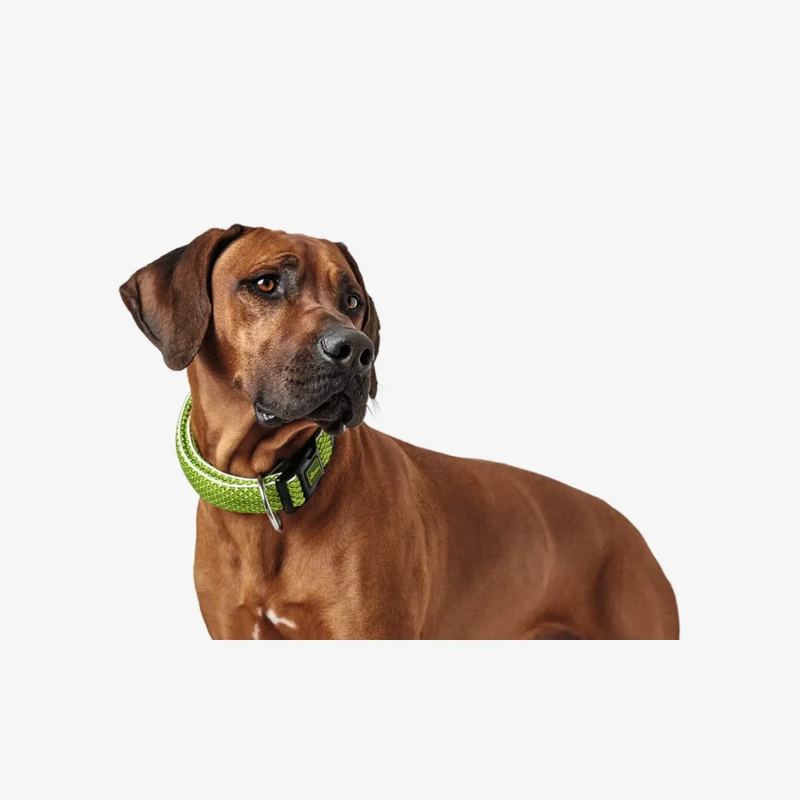 catalogue_background_2x (2).webp