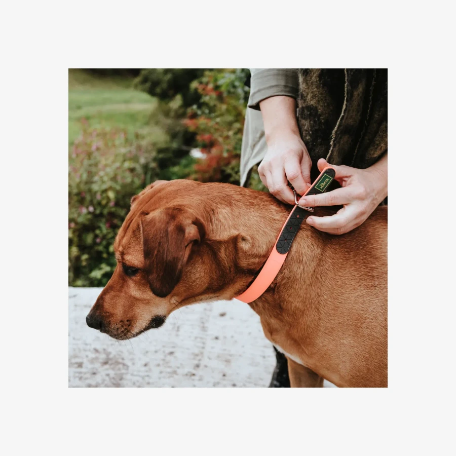 catalogue_background_2x (3).webp