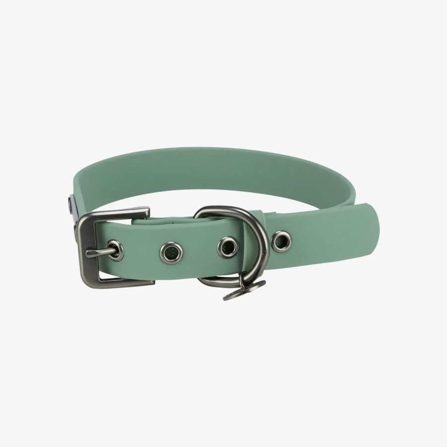 catalogue_background_3x (2).webp