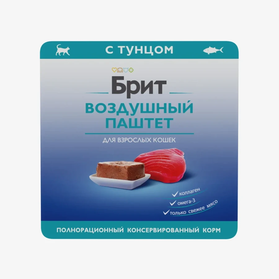 catalogue_background (48).webp