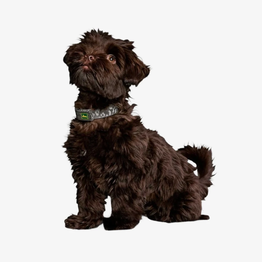 catalogue_background_4x (2).webp