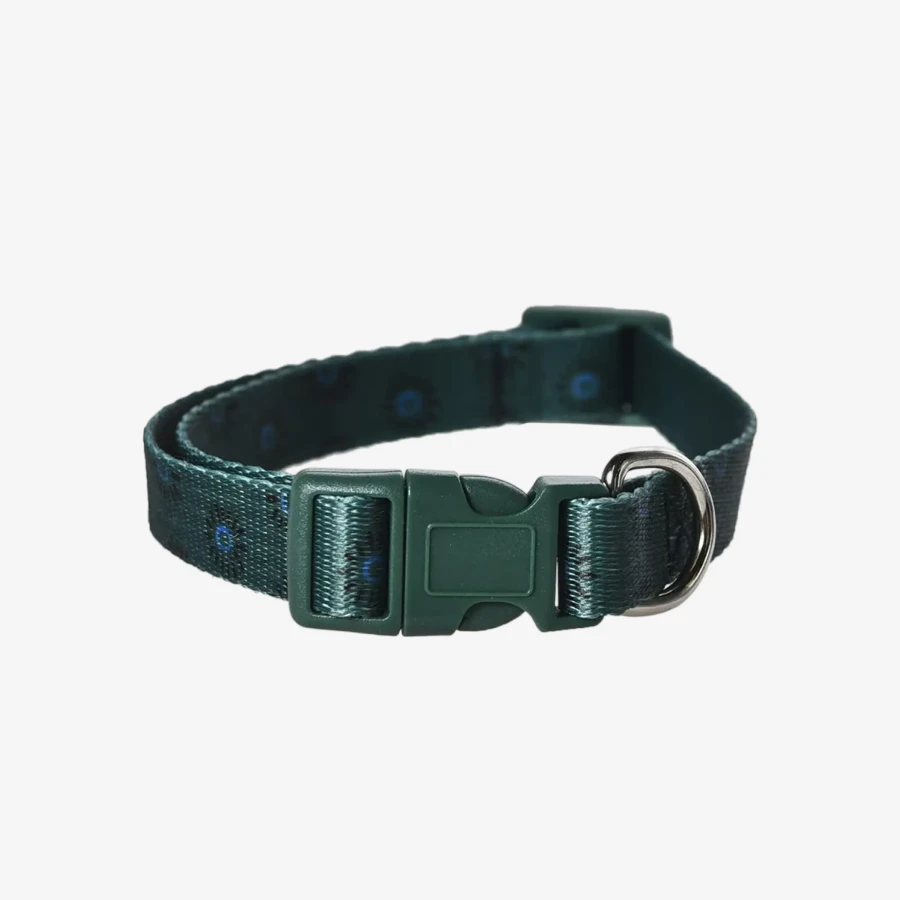 catalogue_background_4x (2).webp