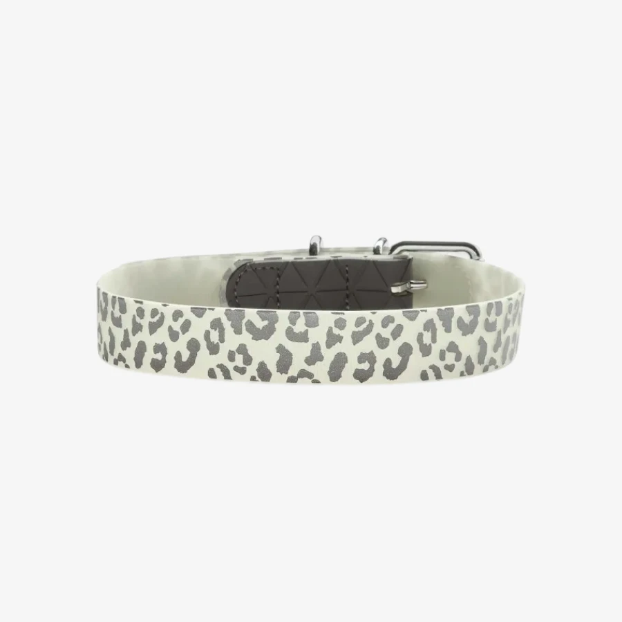 catalogue_background_4x (4).webp