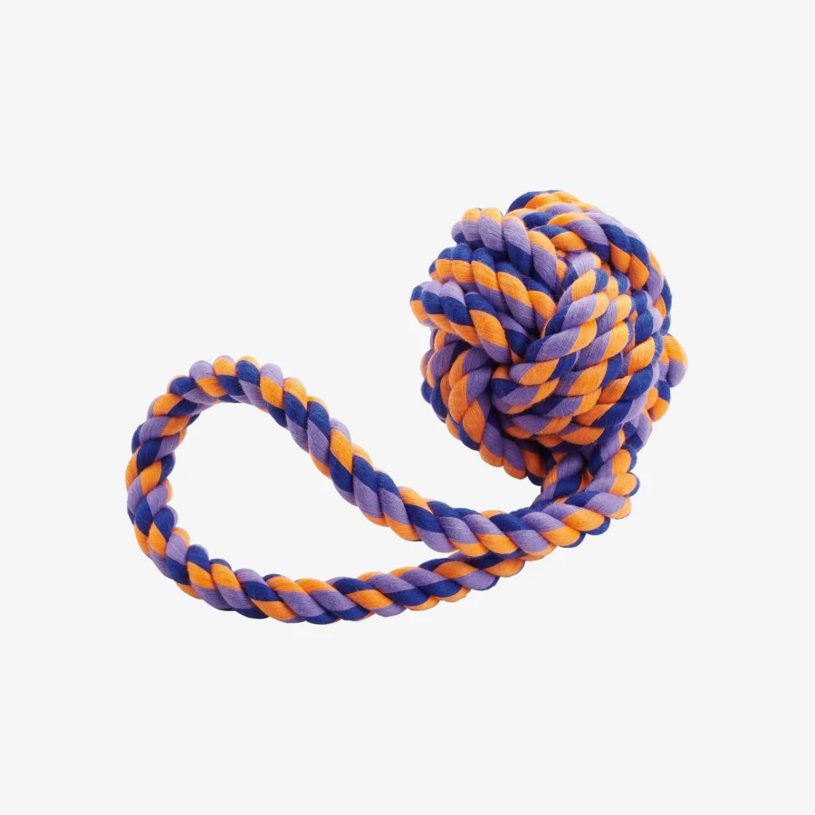 catalogue_background_4x (4).webp