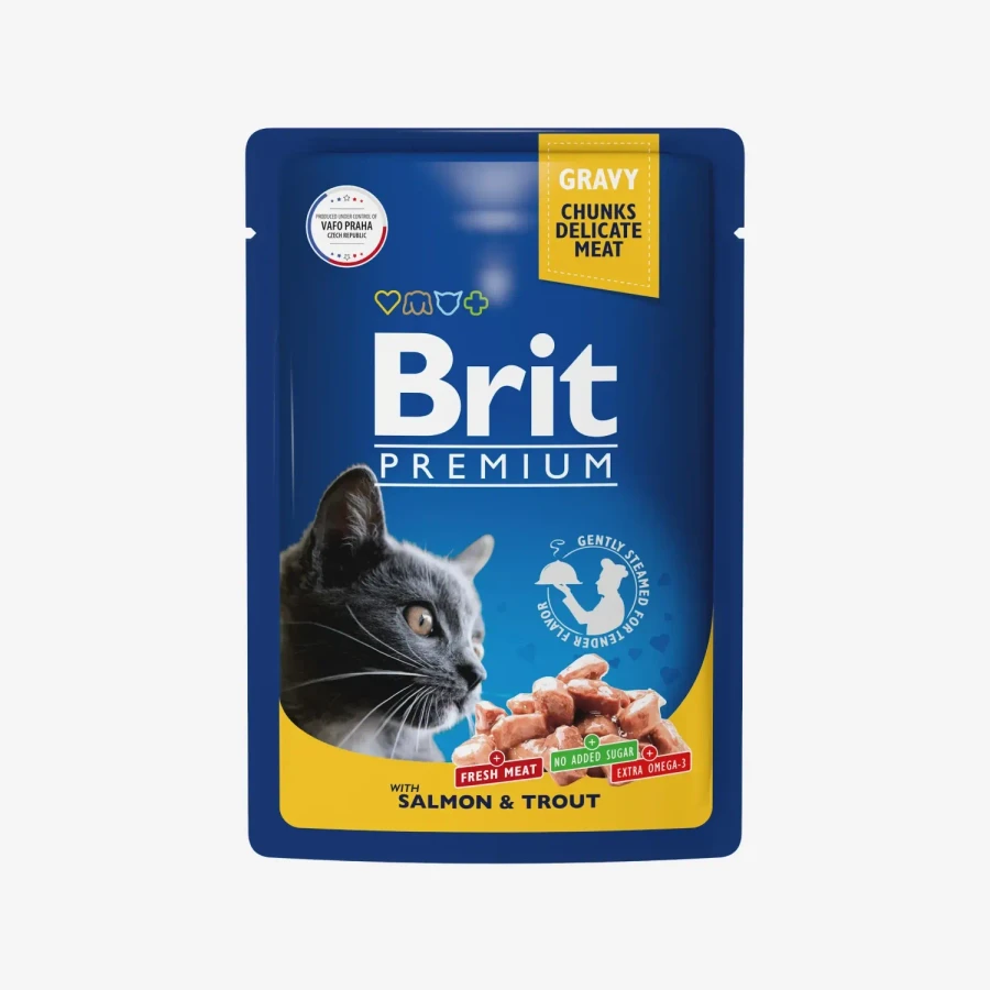 catalogue_background (51).webp