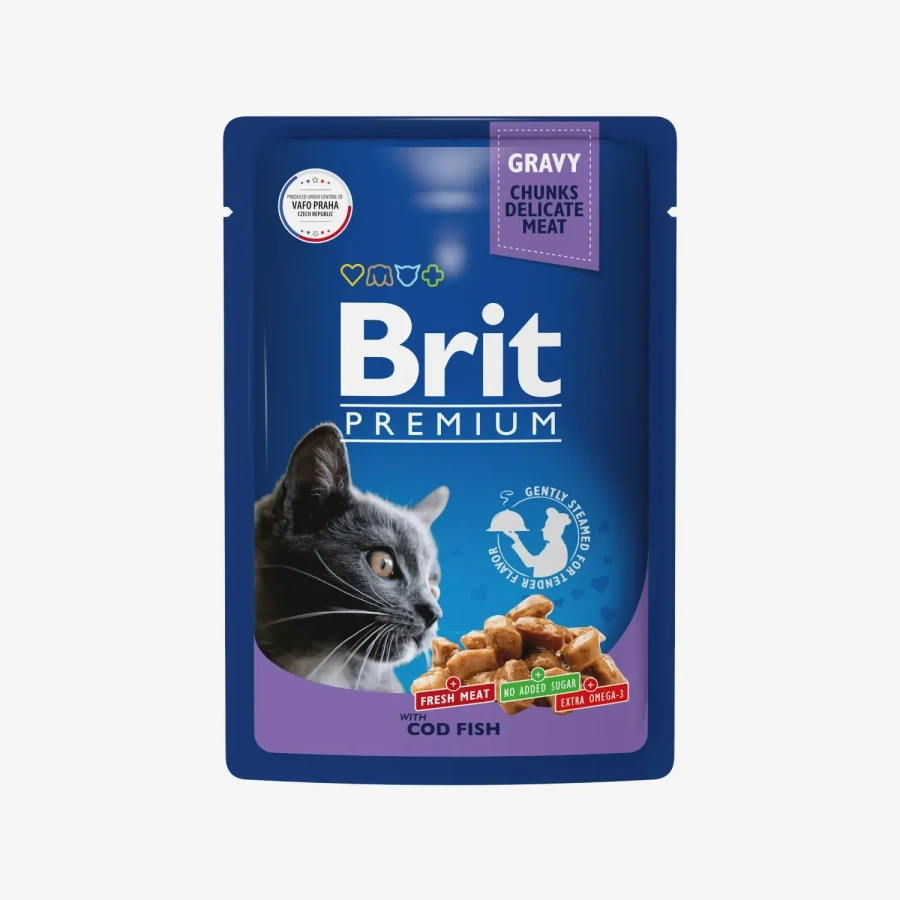 catalogue_background (53).webp