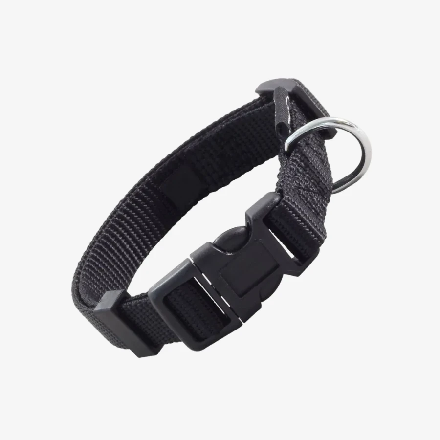 catalogue_background_5x (3).webp