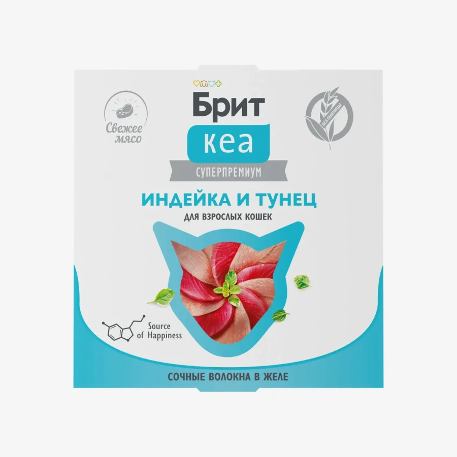 catalogue_background (67).webp