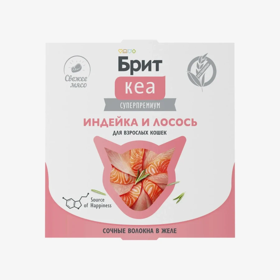 catalogue_background (69).webp