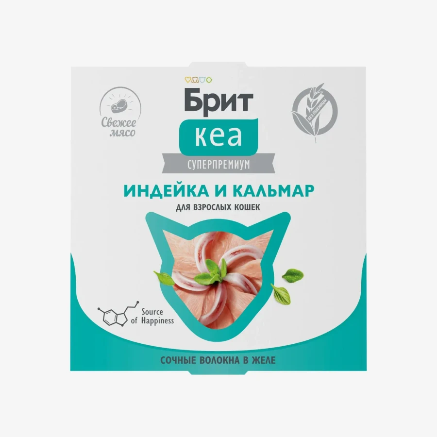 catalogue_background (73).webp