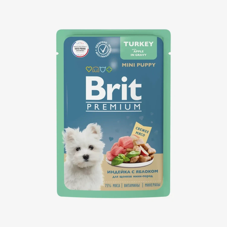 catalogue_background (75).webp