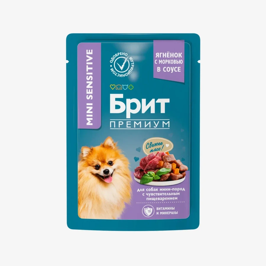 catalogue_background (77).webp