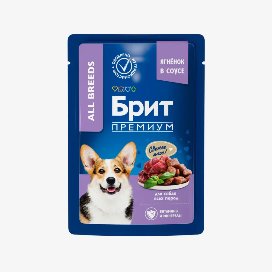 catalogue_background (79).webp