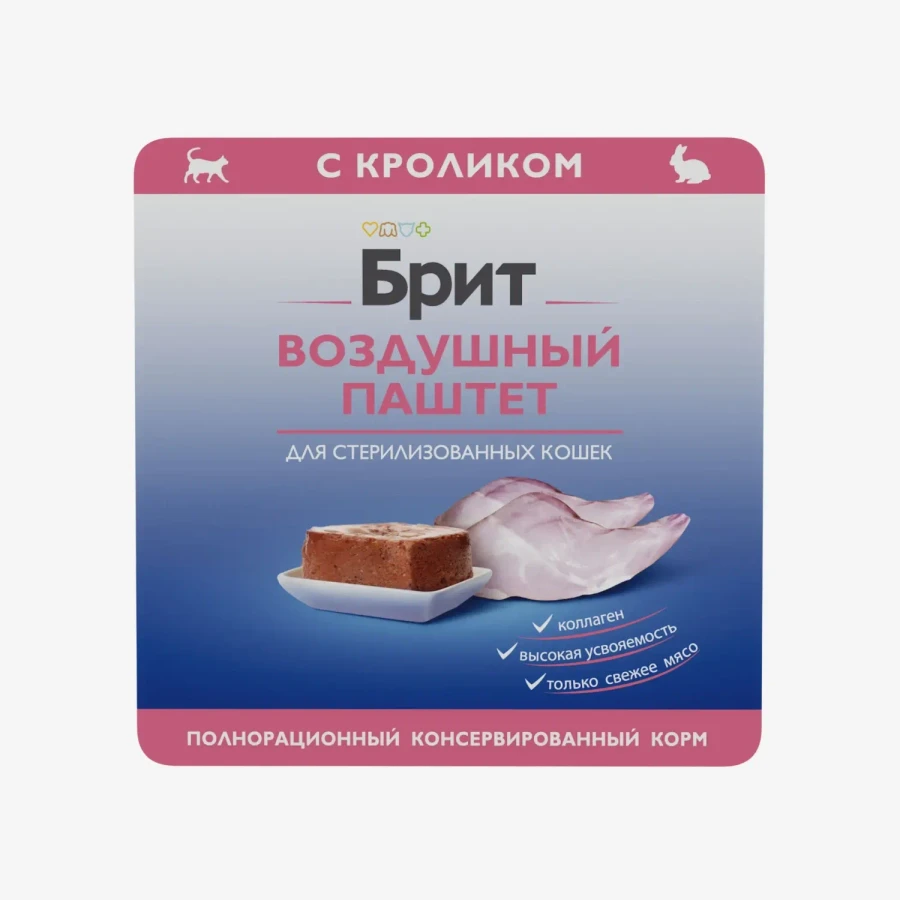 catalogue_background (87).webp