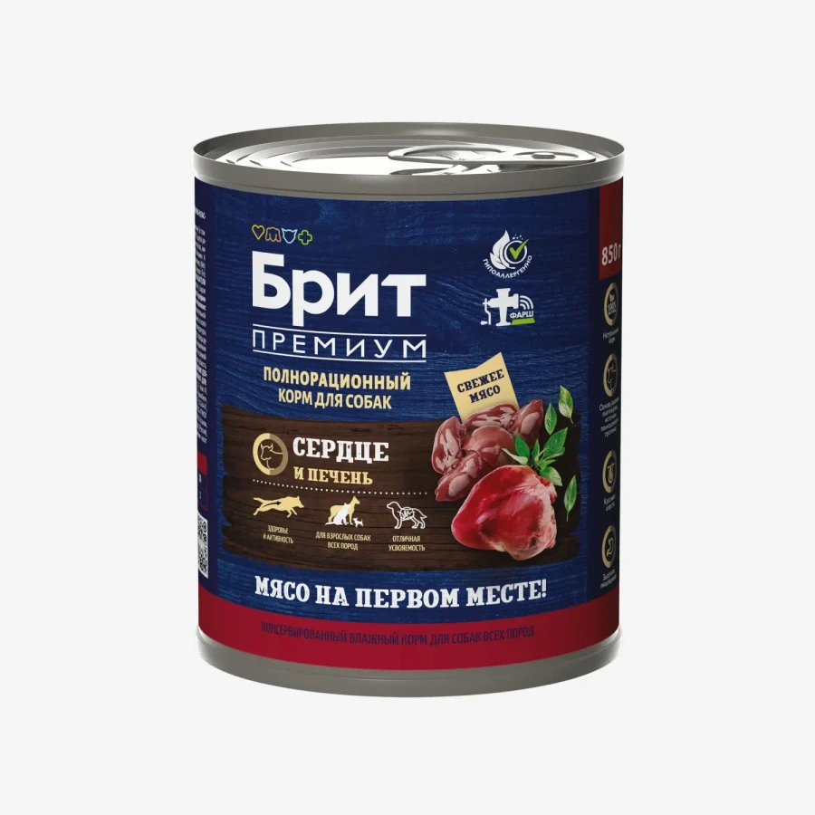 catalogue_background (91).webp