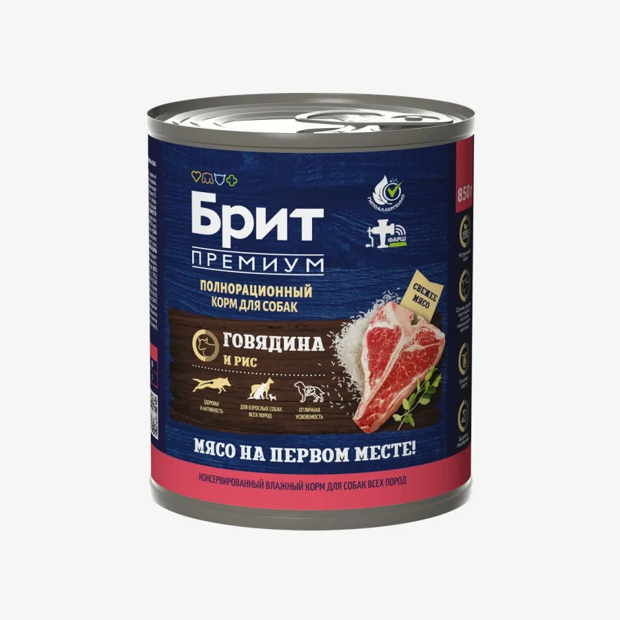 catalogue_background (93).webp