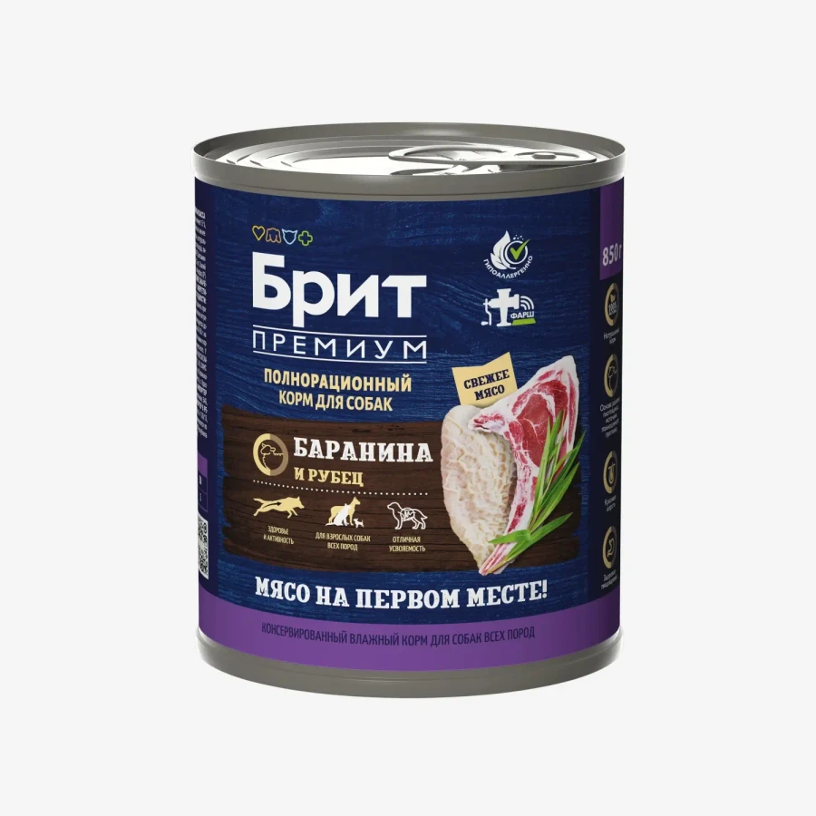 catalogue_background (95).webp