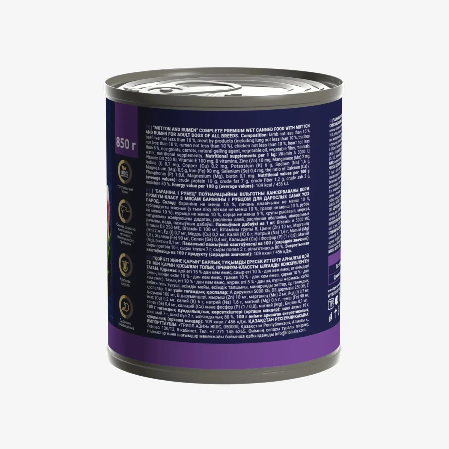 catalogue_background (97).webp