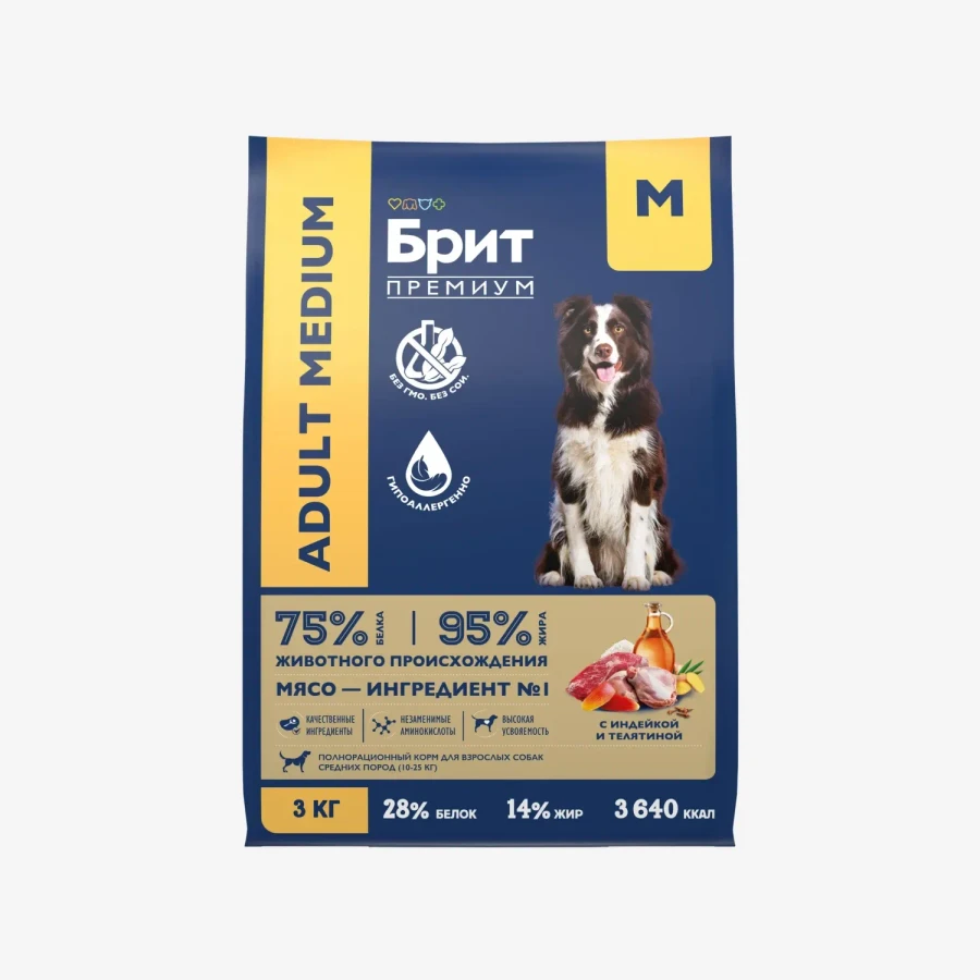 catalogue_background (98).webp