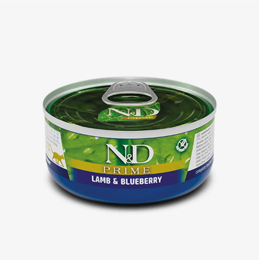 catalogue_background_savezone - 2026-06-15T170546.673.webp