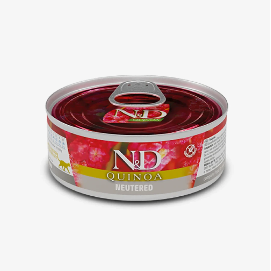 catalogue_background_savezone - 2026-06-16T143204.263.webp