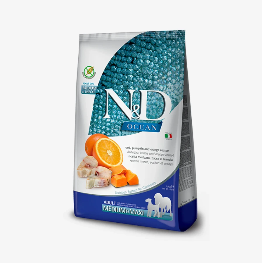 catalogue_background_savezone - 2026-06-23T164700.852.webp