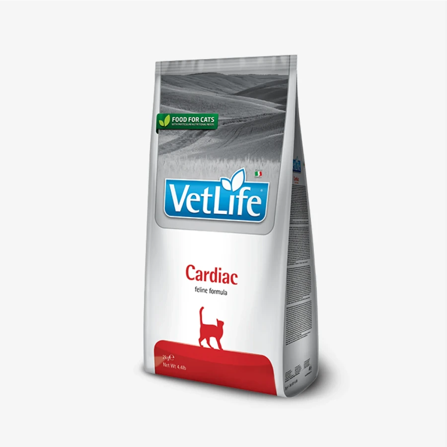 catalogue_background_savezone - 2026-07-14T113303.425.webp