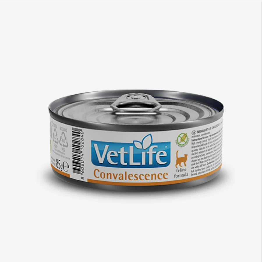 catalogue_background_savezone - 2026-07-14T154120.944.webp
