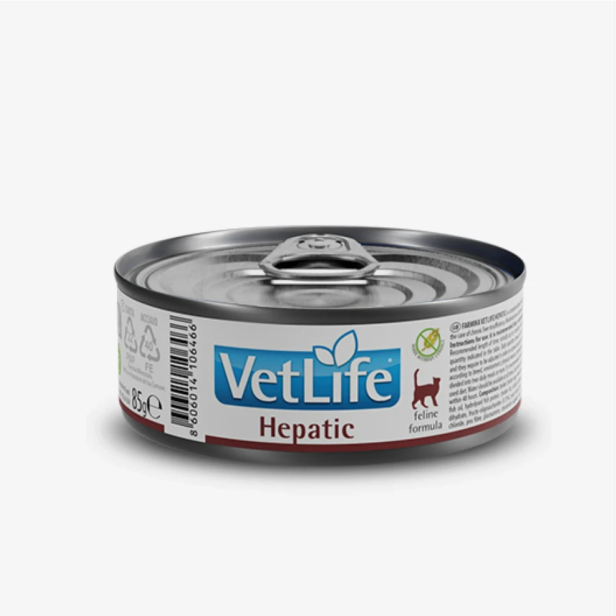 catalogue_background_savezone - 2026-07-14T154628.949.webp