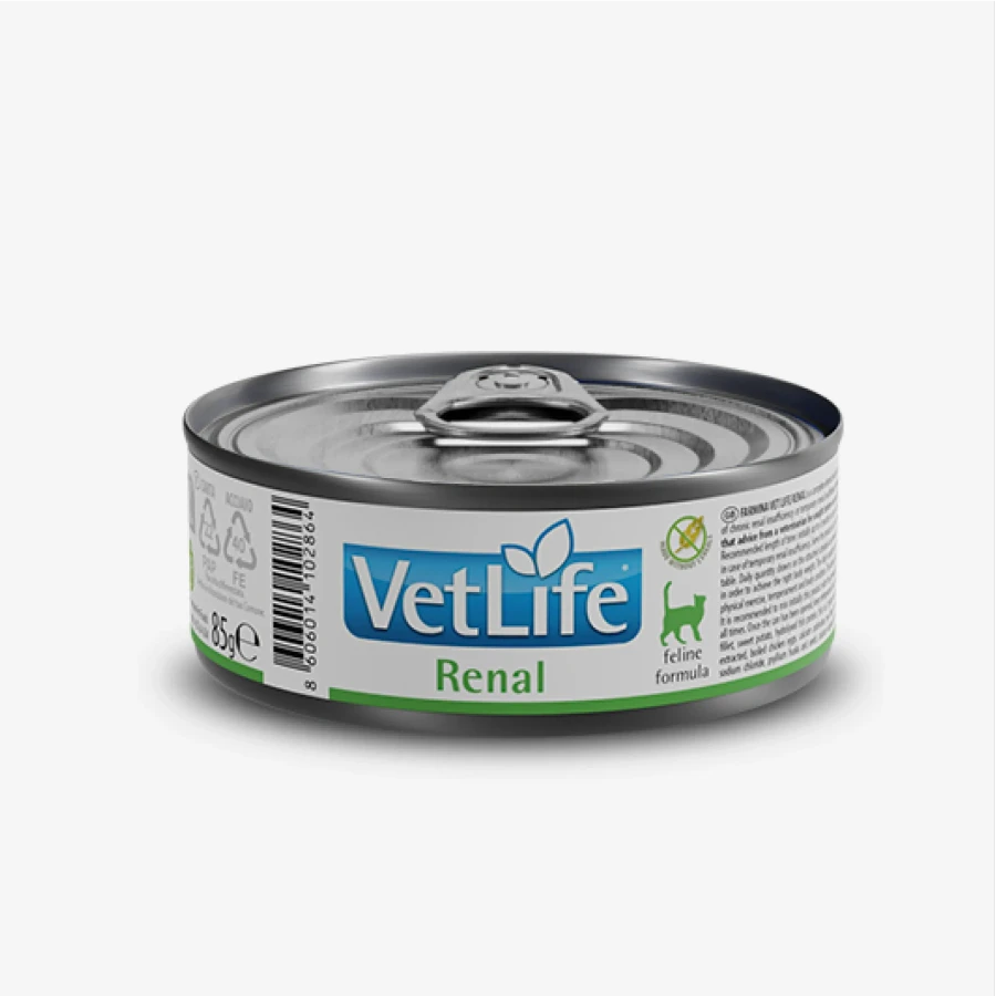 catalogue_background_savezone - 2026-07-14T155218.209.webp
