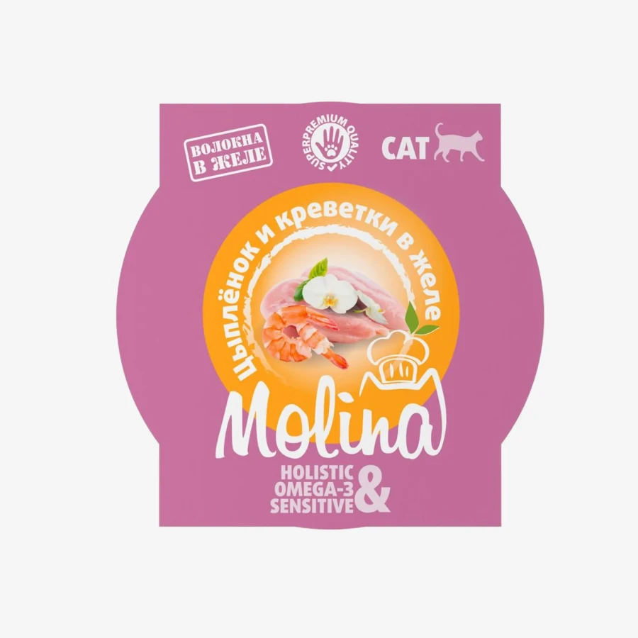 catalogue_background_savezone - 2026-07-20T100724.331.webp