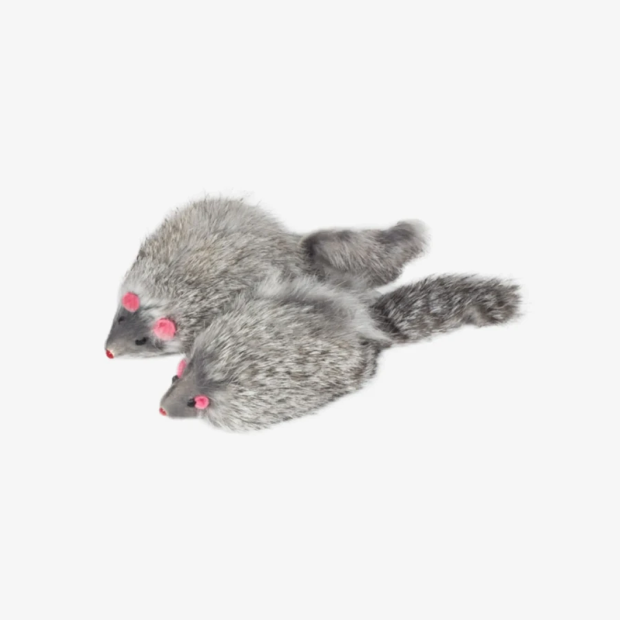 catalogue_background_savezone - 2026-07-31T104853.872.webp
