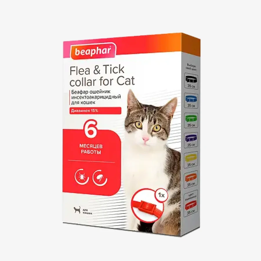 catalogue_background_savezone - 2026-08-25T123443.946.webp