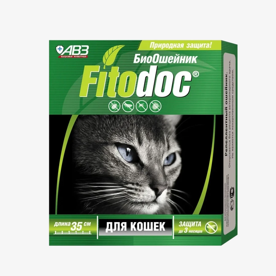 catalogue_background_savezone - 2026-08-25T161926.833.webp